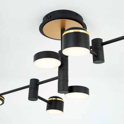 Потолочная люстра LED4U L3120-6