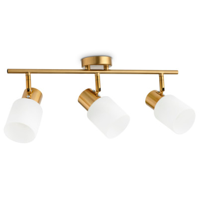 Спот TRADITIONAL TR3972