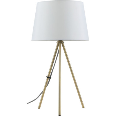 Интерьерная настольная лампа Sandy FR5118TL-01BS