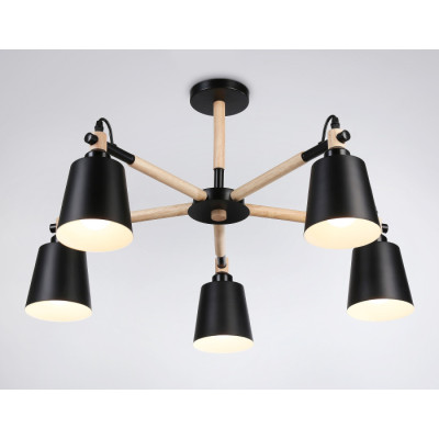 Потолочная люстра Traditional TR82211