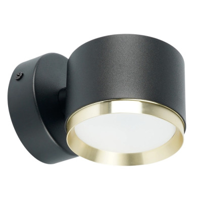 Спот HL4598 52019