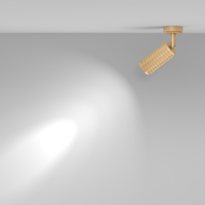 Спот Focus Design C034CL-01G