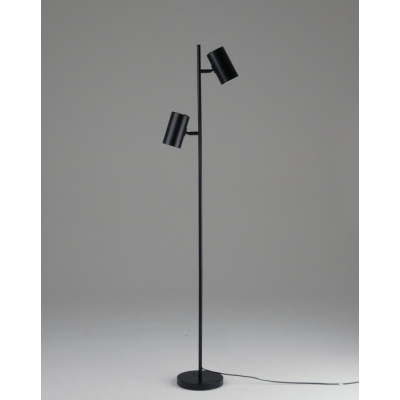 Торшер Ashes V11329-2F