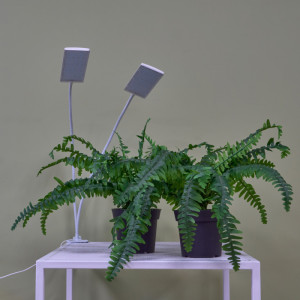 Настольная лампа для растений  ULT-P37-24W/SPLE/TM/60 IP40 WHITE TWIN