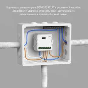 Wi-Fi реле Relay RL1004-DM