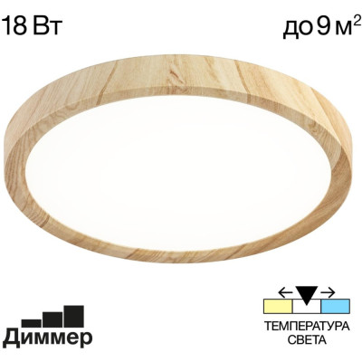 Настенно-потолочный светильник Бейсик CL738182V