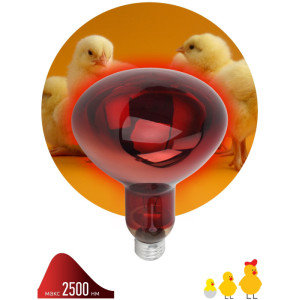 Лампочка инфракрасная  ИКЗК 230-150 R127